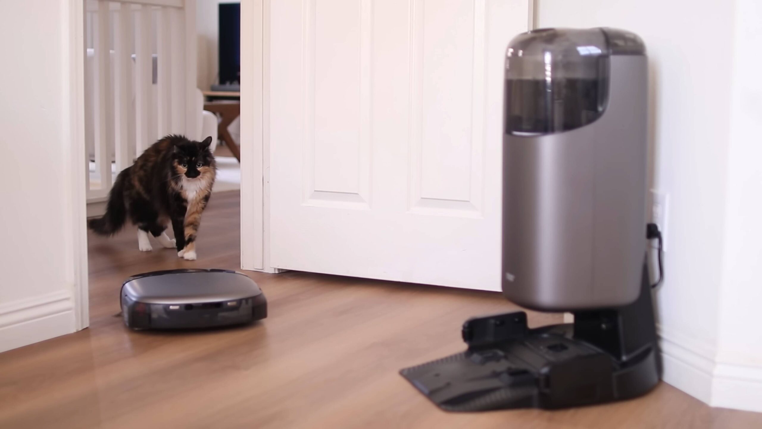 Easy morning cleaning routine
