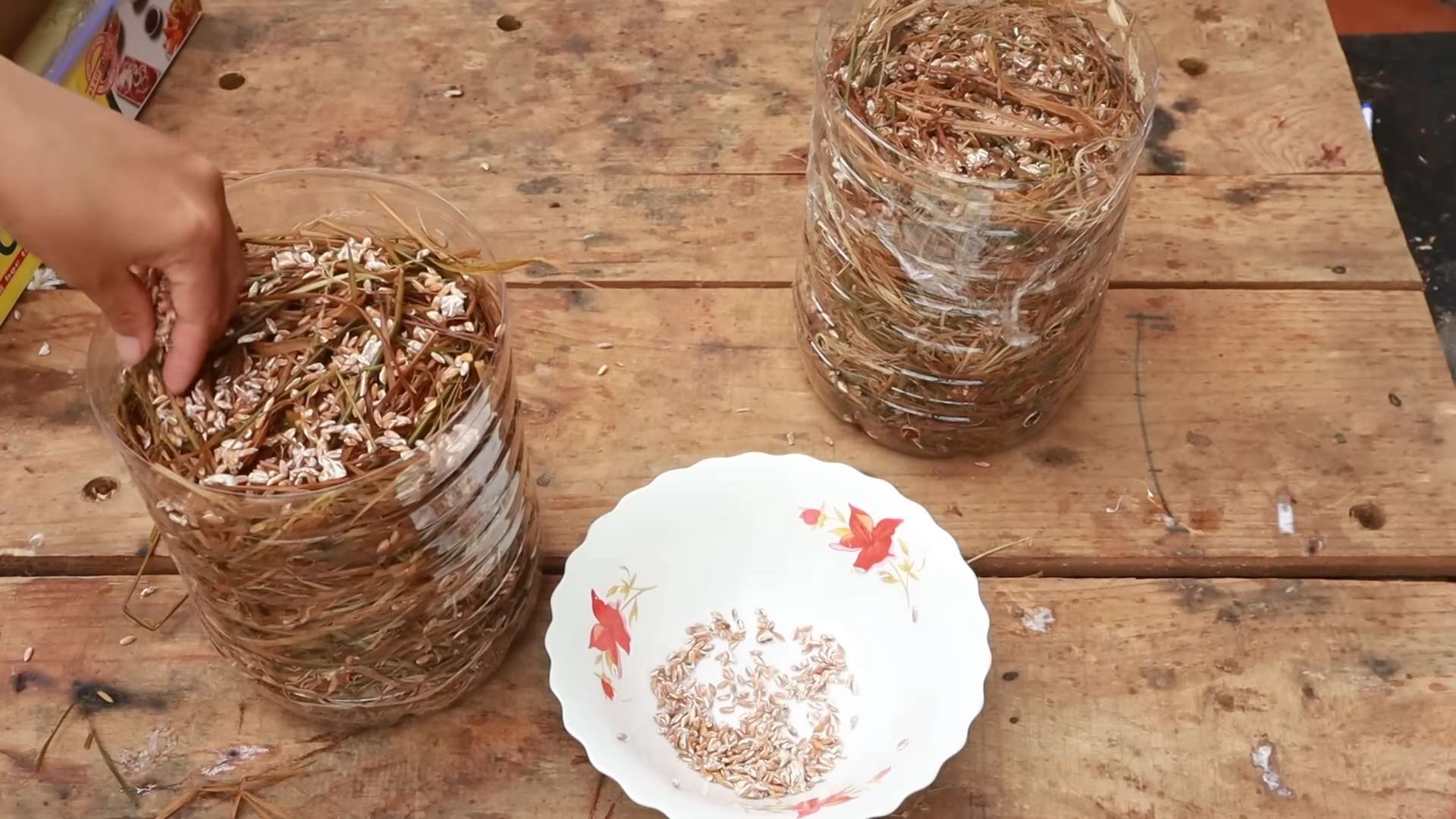 Grow Mushrooms in Plastic Cans